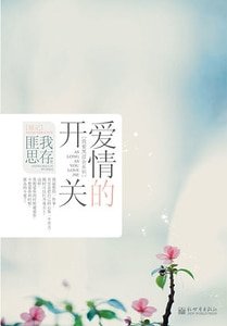 《爱情的开关(精)》