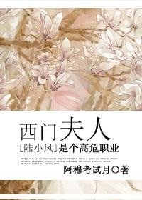 《(陆小凤同人)西门夫人是个高危职业》