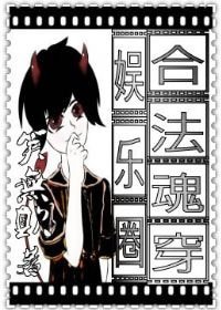 娱乐圈：合法魂穿