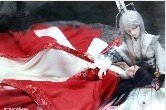 《君为倾雅》