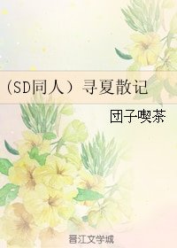 (灌篮高手同人)(SD同人)寻夏散记