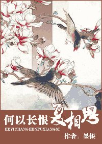 何以长恨复相思