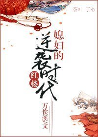 《(红楼同人)媳妇的逆袭时代》