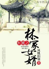 红楼之林家女婿