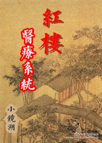 《(红楼同人)红楼医疗系统》