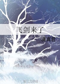 《飞剑来了》