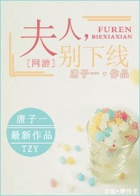 [网游]夫人，别下线
