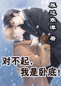 对不起，我是卧底！