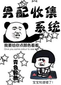 《男配收集系统》