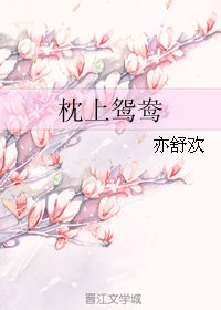枕上鸳鸯