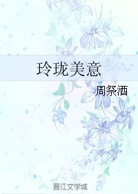 《玲珑美意》