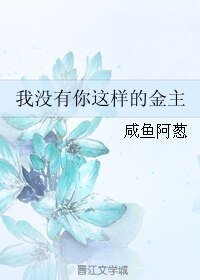 我没有你这样的金主