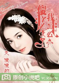 《傻丫头没了我怎么办》