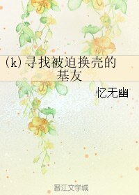 《(K同人)寻找被迫换壳的基友》