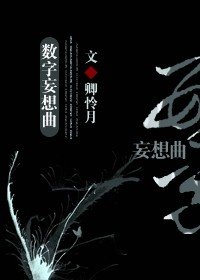 （综小说同人）数字妄想曲