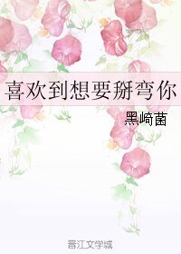 《喜欢到想要掰弯你》
