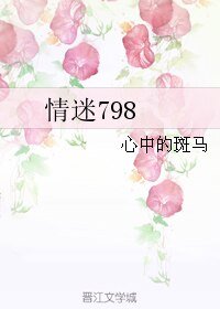 《情迷798》