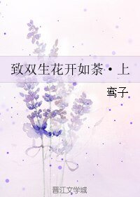 《致双生花开如荼·上》