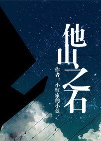他山之石
