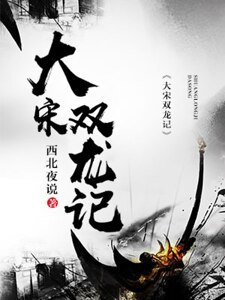 《大宋双龙记》