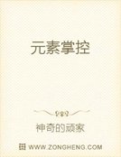 元素掌控