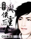 《网游之武侯重生》