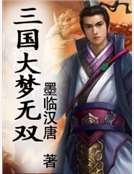 三国大梦无双