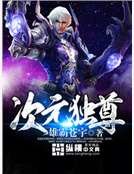次元独尊