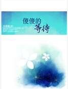傻傻的等待