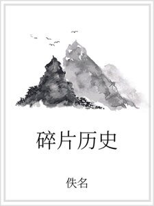 《碎片历史》