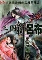 《三国新吕布》
