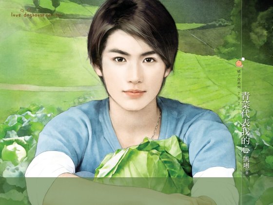 青菜代表我的心（今日农村之宝岛王者）