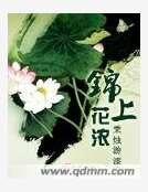 锦上花浓