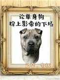 《影帝酷爱撒糖!》