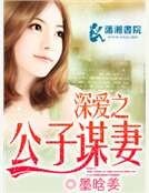 深爱之公子谋妻