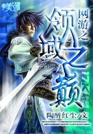 网游之领域之巅