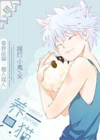 （猎人同人）养一只猫