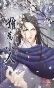 《双绝外传之难为小人(出书版)》
