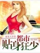 《都市贴身狂少》
