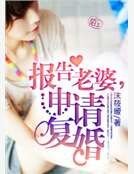 报告老婆，申请复婚