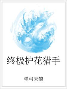 《终极护花猎手》