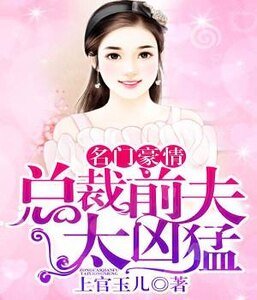 《名门豪情:总裁前夫太凶猛》