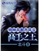 《神级高手在都市:特种之王》