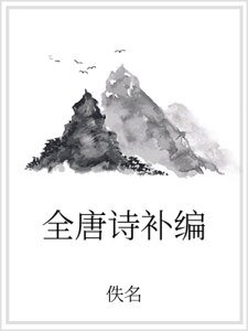 《全唐诗补编》