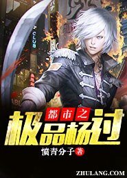 《都市之极品杨过》