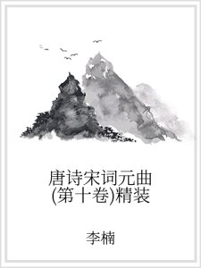 唐诗宋词元曲（第十卷）精装