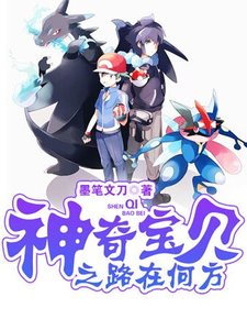 《神奇宝贝之路在何方》