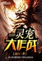 《灵宠大作战》