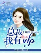 超级大BOSS：总裁我有VIP