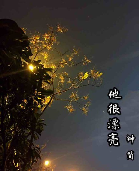 他很漂亮